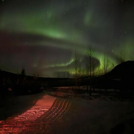 Golden Circle Cabin, Hot Tub Villa Geysir Buitenkant foto