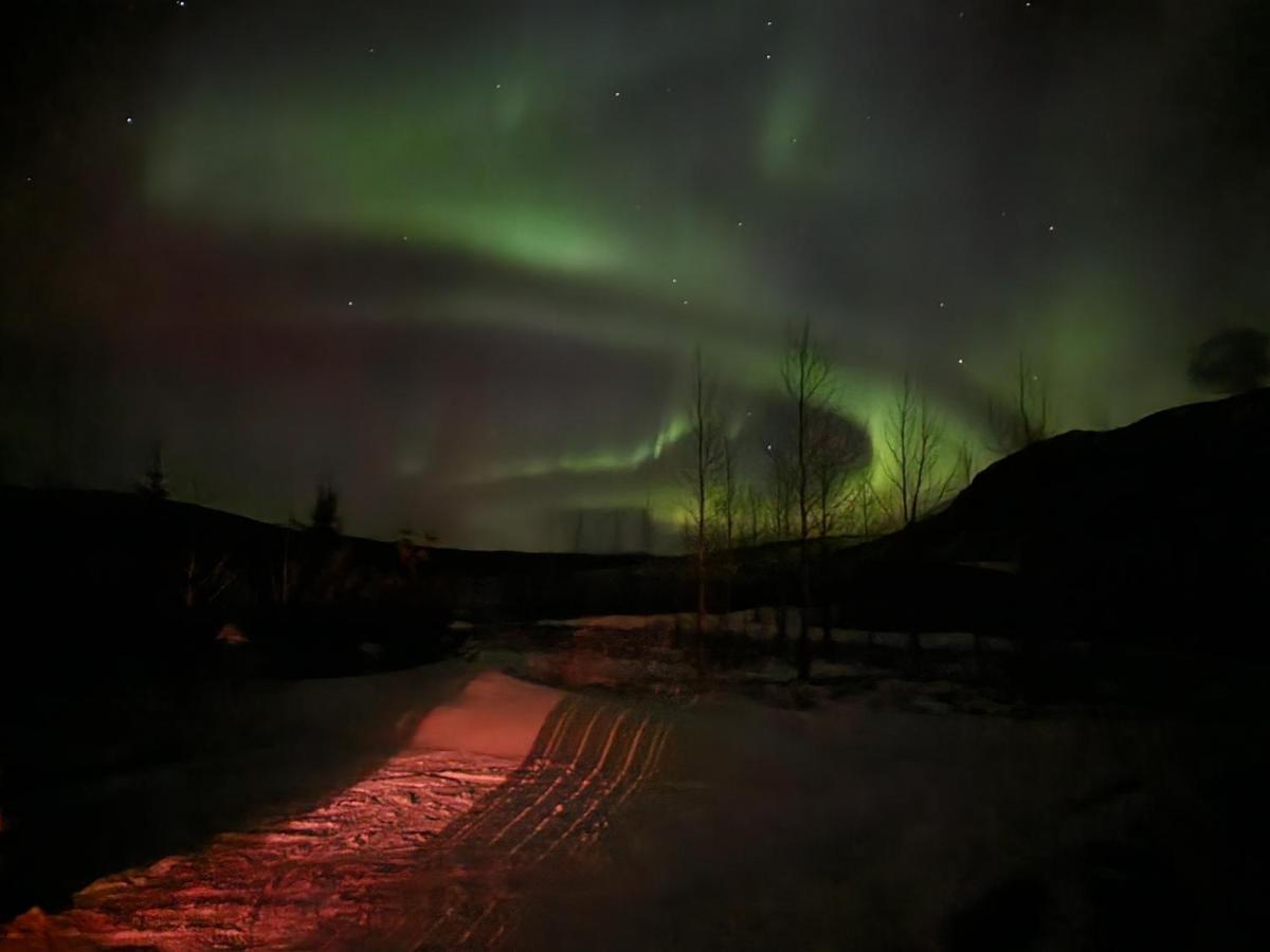 Golden Circle Cabin, Hot Tub Villa Geysir Buitenkant foto