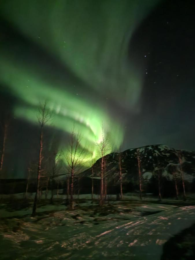 Golden Circle Cabin, Hot Tub Villa Geysir Buitenkant foto