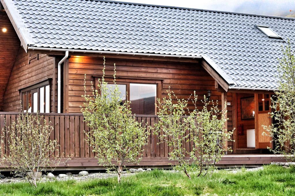 Golden Circle Cabin, Hot Tub Villa Geysir Buitenkant foto